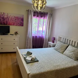 https://montenegro-dreams.hotelaalgarve.com